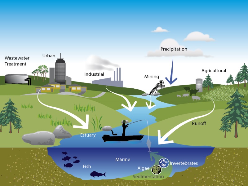 fundamentals-of-environmental-chemistry